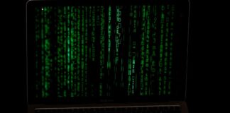 Ein Datenleck bei Paddy Power und Betfair sorgt für Diskussionen