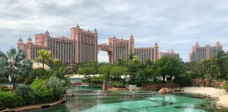 Die WSOP wird im Dezember 2025 ein Poker-Event auf den Bahamas veranstalten