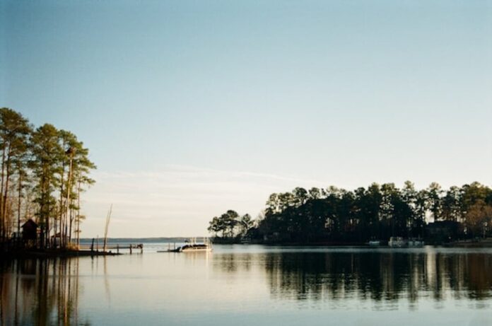 emily-grace-corley-_DTixsU7jxs-unsplash(1)