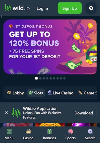 Wild.io one of the best USDT casinos
