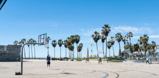 Outdoor basketball court with palm trees and players at Venice Beach, California