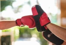 Boxing Glove Hitting Pad