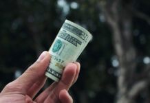 A close-up of a hand holding a rolled-up U.S. twenty-dollar bill, with a blurred natural background of trees and soft light.