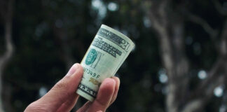 A close-up of a hand holding a rolled-up U.S. twenty-dollar bill, with a blurred natural background of trees and soft light.