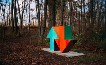 Up and Down Arrow in a Forest